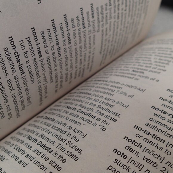 Student Dictionary - Picture 3 of 4